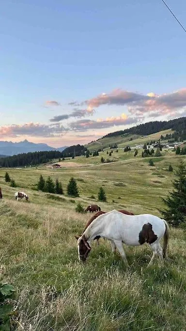 Apartment Megeve Standing - Chalet Au Bord De L'Eau France